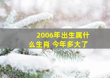 2006年出生属什么生肖 今年多大了